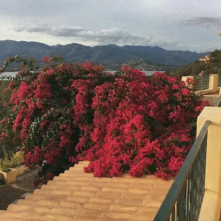 Grande Familiale Vue Près De Palombaggia *